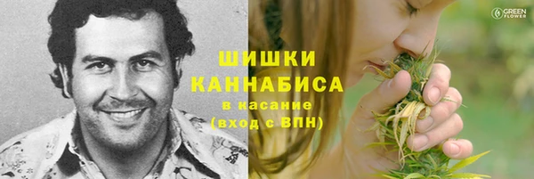 ГАЛЛЮЦИНОГЕННЫЕ ГРИБЫ Нефтекумск