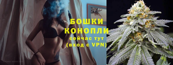 ГАЛЛЮЦИНОГЕННЫЕ ГРИБЫ Нефтекумск