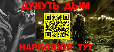 стаф Дубна