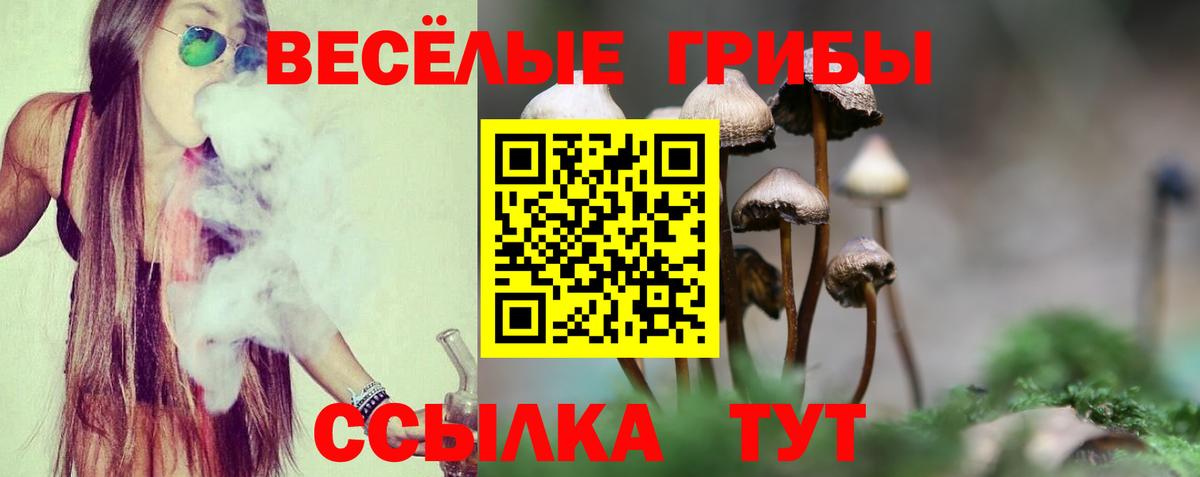 Галлюциногенные грибы мухоморы Сарапул